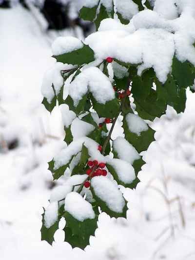Winters mooi.