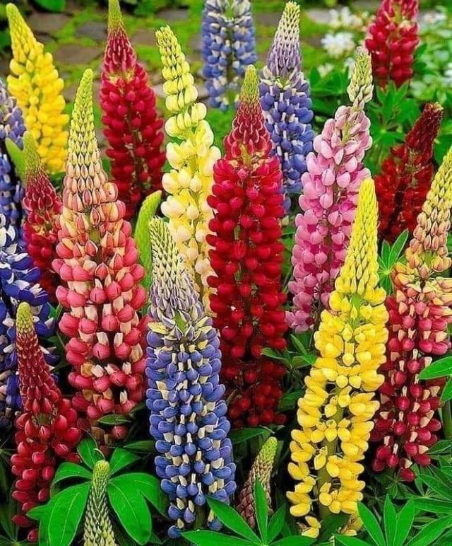 Prachtige kleuren b…
