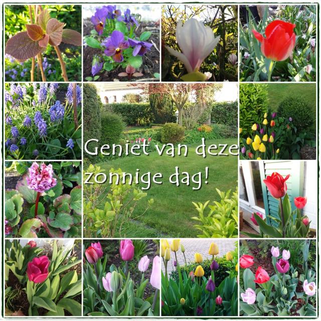 Geniet van deze zon…