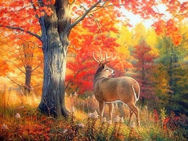 Schitterend herfst.
