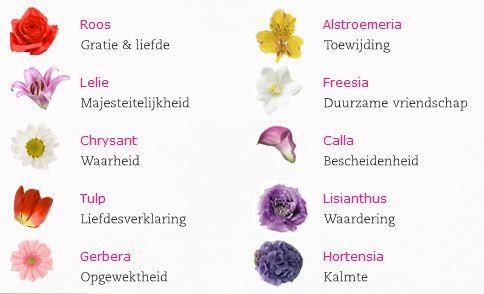 Betekenis bloemen.
